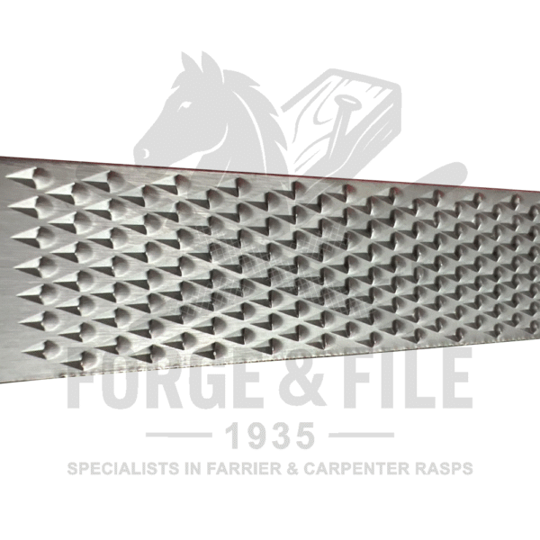 Professional Hoof Rasps - Image 3